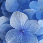 Selecting Therapies For Inner Work